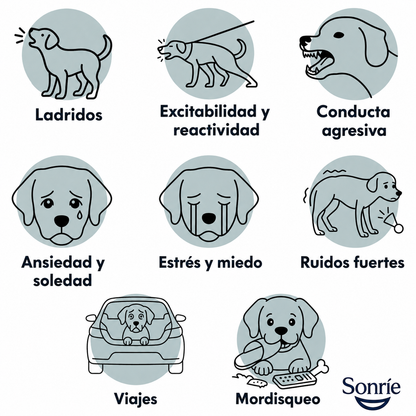 Sonríe — Snack Calmante para Perros