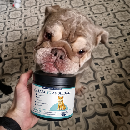 Sonríe — Snack Calmante para Perros